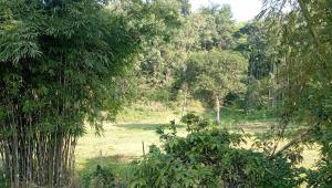 ED 2 - The interims unfinished conservation business_a811.jpg