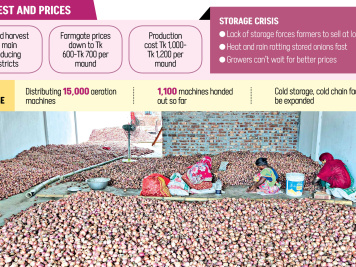 Record Onion Production Bangladesh 2026