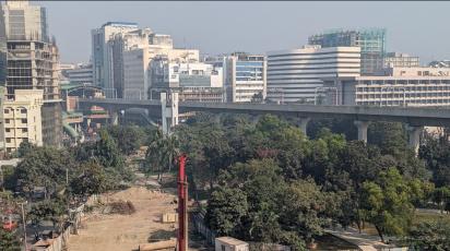 OP 2 - Apathy and lack of legal protection endanger dwindling urban greenery_1.jpg