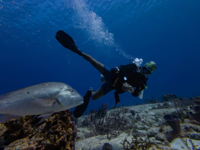 TDS - 2026-01-17T213113.529.png