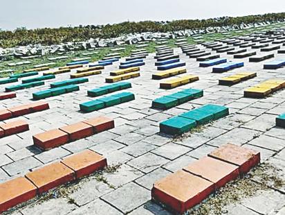 Payra with paint 1.jpg