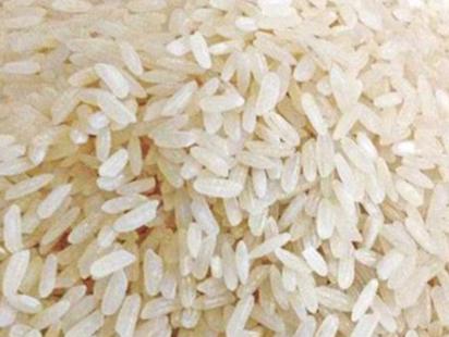 rice_2-web.jpg