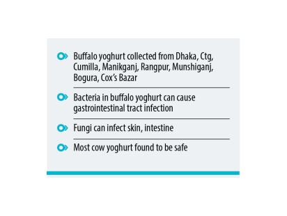buffalo-yoghurt-bacteria-2.jpg