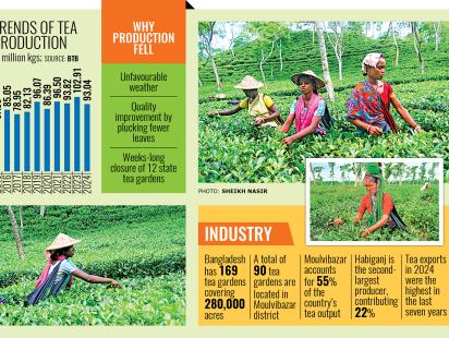 bangladesh-tea-board-2.jpg