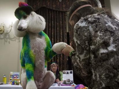 New York Pet Fashion Show