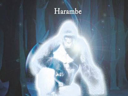 5 Most Popular Memes of 2016