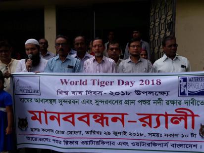 Bengal tiger habitat Sundarbans