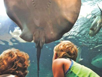 The many faces of Phuket