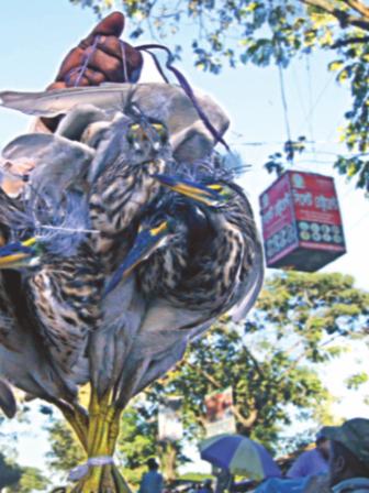 A trader carrying birds.jpg