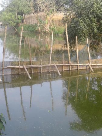 Fish farming canal.jpg