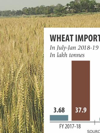 wheat import.jpg