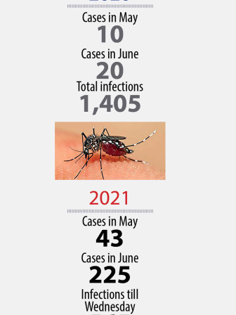 dengue_1.jpg