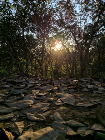 Munlai walk 5 great places to visit in Bangladesh this autumn