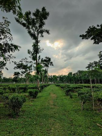 Top 5 places to visit in Sreemangal for a memorable winter