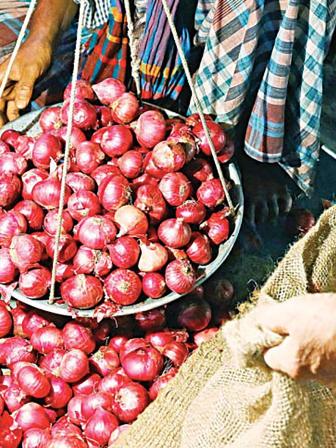 onion.jpg
