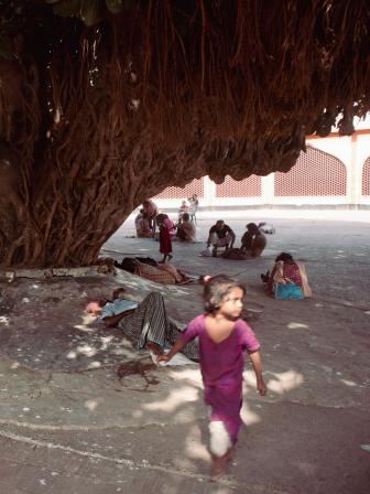 mazar-MARUF AREFIN MIM.jpg