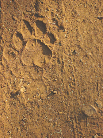 an_epic_saga_of_loss