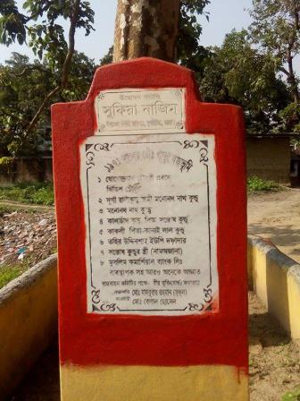 bogra-mass-grave