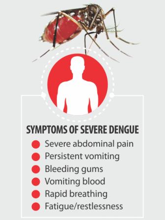 dengue symptoms.jpg