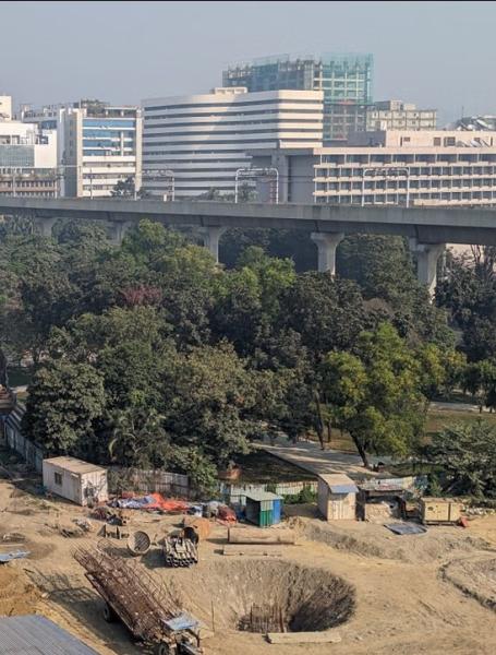 OP 2 - Apathy and lack of legal protection endanger dwindling urban greenery_1.jpg