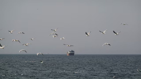 Bangladesh garment export logistics crisis 2026