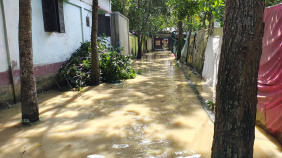 flood1.jpg