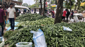 vegetables.jpg