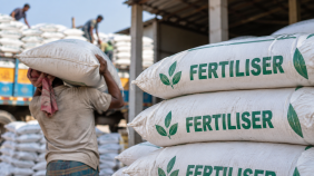 Fertiliser (2).png